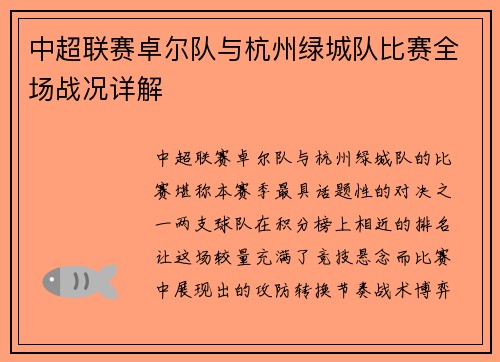 中超联赛卓尔队与杭州绿城队比赛全场战况详解
