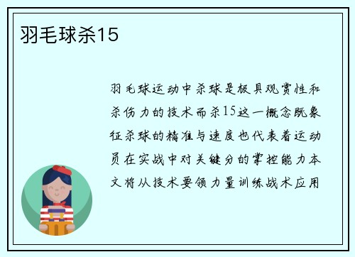 羽毛球杀15